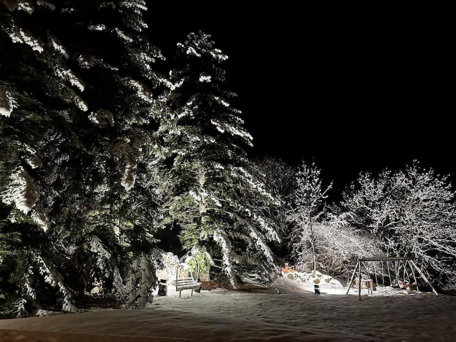 Chalet D'Architecte Avec Vue Panoramique Allos Dış mekan fotoğraf